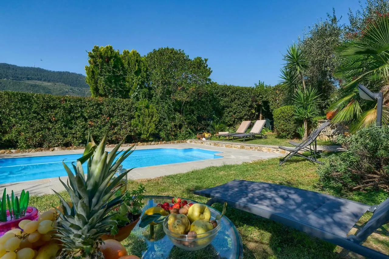 Villa Maria - In The Hills Above Florence Castiglione  Castiglione (Florence)