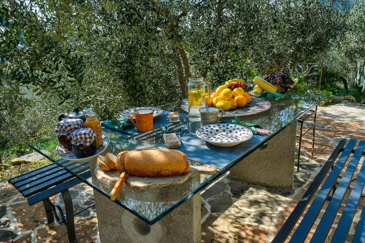 Villa Maria - In The Hills Above Florence Castiglione  0*, Castiglione (Florence) Italy