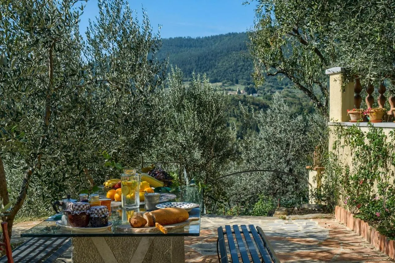 Villa Maria - In The Hills Above Florence Castiglione  Italy